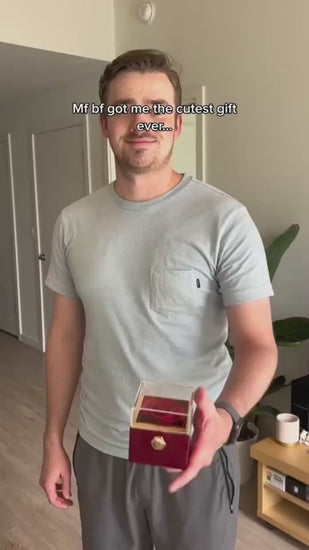 1.mp4